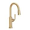 Newport Brass Gavin(R): Pull-Down Kitchen Faucet