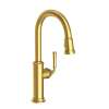 Newport Brass Gavin(R): Pull-Down Kitchen Faucet