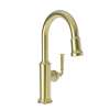 Newport Brass Gavin(R): Prep/Bar Pull Down Faucet
