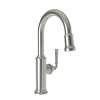 Newport Brass Gavin(R): Prep/Bar Pull Down Faucet