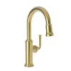 Newport Brass Gavin(R): Prep/Bar Pull Down Faucet