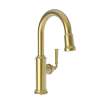 Newport Brass Gavin(R): Prep/Bar Pull Down Faucet