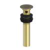Newport Brass Brasstech: Lavatory Drain