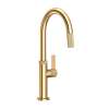 Newport Brass Pardees(R): Pull-Down Kitchen Faucet
