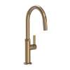 Newport Brass Pardees(R): Pull-Down Kitchen Faucet