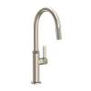 Newport Brass Pardees(R): Pull-Down Kitchen Faucet