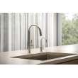Newport Brass Pardees(R): Pull-Down Kitchen Faucet