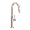 Newport Brass Pardees(R): Pull-Down Kitchen Faucet