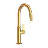 Newport Brass Pardees(R): Pull-Down Kitchen Faucet