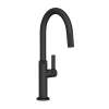 Newport Brass Pardees(R): Pull-Down Kitchen Faucet