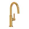 Newport Brass Pardees(R): Prep/Bar Pull Down Faucet