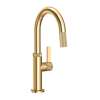 Newport Brass Pardees(R): Prep/Bar Pull Down Faucet