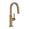 Newport Brass Pardees(R): Prep/Bar Pull Down Faucet