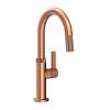 Newport Brass Pardees(R): Prep/Bar Pull Down Faucet