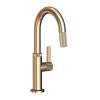 Newport Brass Pardees(R): Prep/Bar Pull Down Faucet