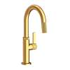 Newport Brass Pardees(R): Prep/Bar Pull Down Faucet
