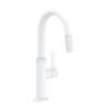 Newport Brass Pardees(R): Prep/Bar Pull Down Faucet