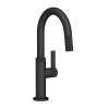 Newport Brass Pardees(R): Prep/Bar Pull Down Faucet