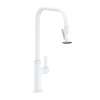 Newport Brass Pardees(R): Pull-Down Kitchen Faucet - Trigger Spray