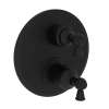Newport Brass Aylesbury: 1/2" Round Thermostatic Trim Plate with Handle