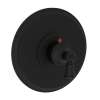 Newport Brass Aylesbury: 3/4" Round Thermostatic Trim Plate with Handle