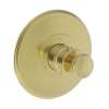 Newport Brass Ithaca(R): 3/4" Round Thermostatic Trim Plate with Handle