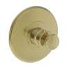 Newport Brass Ithaca(R): 3/4" Round Thermostatic Trim Plate with Handle