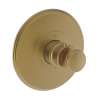 Newport Brass Ithaca(R): 3/4" Round Thermostatic Trim Plate with Handle