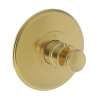 Newport Brass Ithaca(R): 3/4" Round Thermostatic Trim Plate with Handle