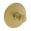 Newport Brass Ithaca(R): 3/4" Round Thermostatic Trim Plate with Handle