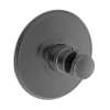 Newport Brass Ithaca(R): 3/4" Round Thermostatic Trim Plate with Handle