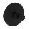 Newport Brass Ithaca(R): 3/4" Round Thermostatic Trim Plate with Handle