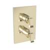 Newport Brass Joffrey(R): 1/2" Square Thermostatic Trim Plate with Handle