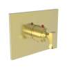 Newport Brass Joffrey(R): 3/4" Square Thermostatic Trim Plate with Handle