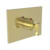 Newport Brass Joffrey(R): 3/4" Square Thermostatic Trim Plate with Handle
