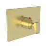 Newport Brass Joffrey(R): 3/4" Square Thermostatic Trim Plate with Handle