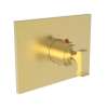 Newport Brass Joffrey(R): 3/4" Square Thermostatic Trim Plate with Handle
