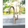 Newport Brass Muncy: Pull-Down Kitchen Faucet