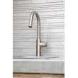 Newport Brass Muncy: Pull-Down Kitchen Faucet