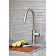Newport Brass Muncy: Pull-Down Kitchen Faucet