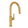 Newport Brass Muncy: Pull-Down Kitchen Faucet