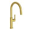 Newport Brass Muncy: Pull-Down Kitchen Faucet