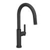Newport Brass Muncy: Pull-Down Kitchen Faucet