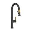 Newport Brass Muncy: Pull-Down Kitchen Faucet - Trigger Spray