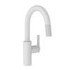 Newport Brass Muncy: Prep/Bar Pull Down Faucet