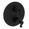 Newport Brass Vander: 1/2" Round Thermostatic Trim Plate with Handle