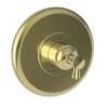 Newport Brass Vander: 3/4" Round Thermostatic Trim Plate with Handle