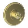 Newport Brass Vander: 3/4" Round Thermostatic Trim Plate with Handle