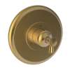 Newport Brass Vander: 3/4" Round Thermostatic Trim Plate with Handle