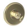 Newport Brass Vander: 3/4" Round Thermostatic Trim Plate with Handle